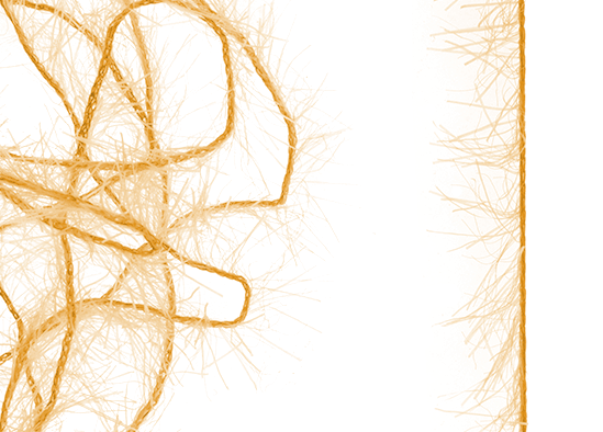 Buy new fly tying material online.