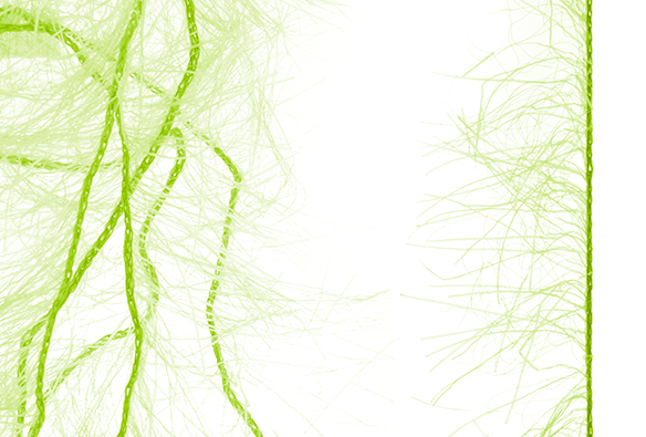 Order MFC fly tying materials online.