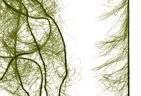 Buy Greg Senyo fly tying online.