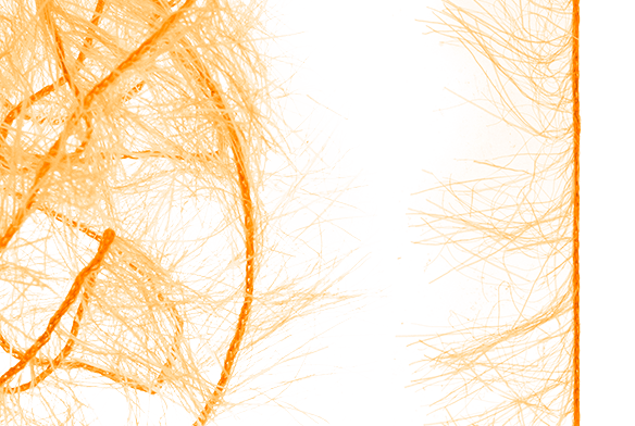 Bass fly tying materials.