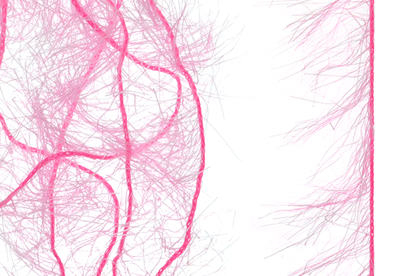 Salmon fly tying materials for sale online.