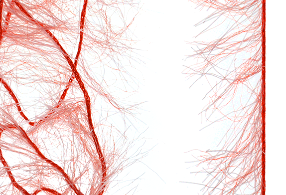 Bass fly tying materials for sale online.