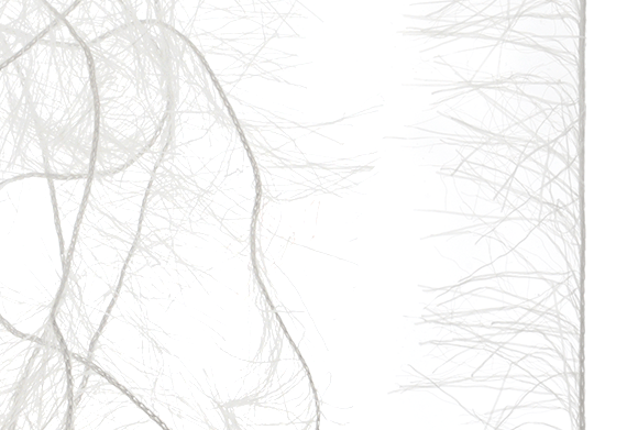 Buy fly tying materials online.