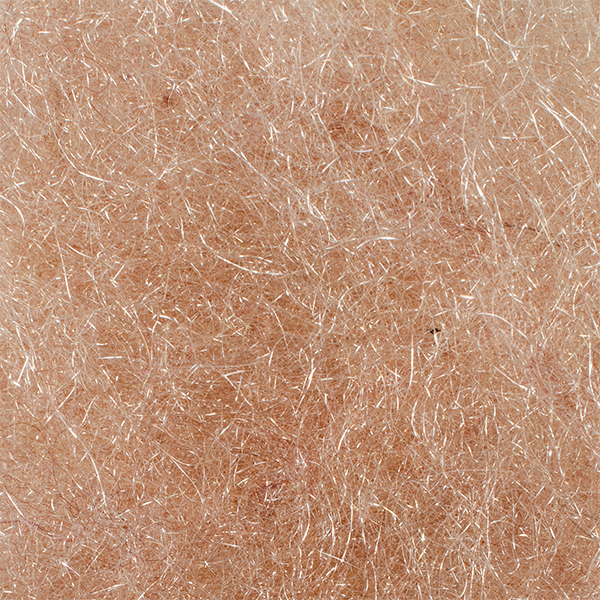 Isonychia version of MFC's Special Sauce Dubbing