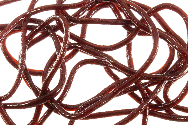 MFC Trina squirm material brown rubber fly tying worms realistic trout nymph material high durability