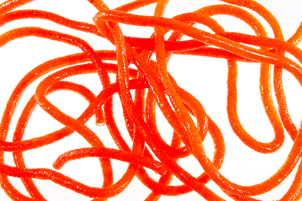 MFC Trina squirm material fire orange high visibility trout worm pattern tying material silicone rubber