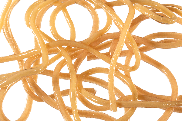 MFC Trina squirm material tan silicone rubber worm fly tying realistic trout nymph patterns