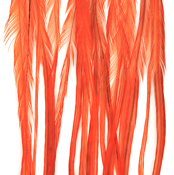 Whiting 100 Packs Burnt Orange color example