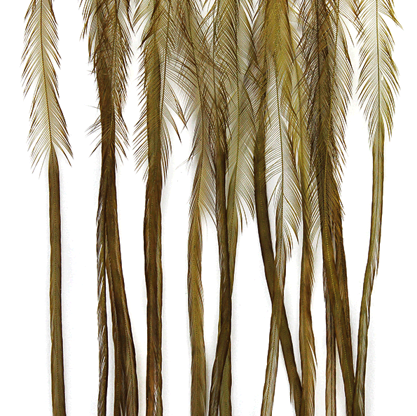 Shop Whiting 100 Pack in olive online for tying olive trout dry fly fishing flies.