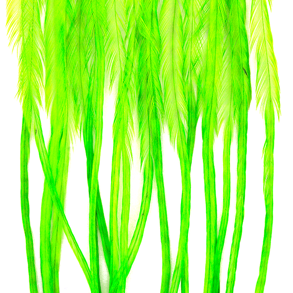 Whiting 100 Packs Fl Green Chartreuse color example