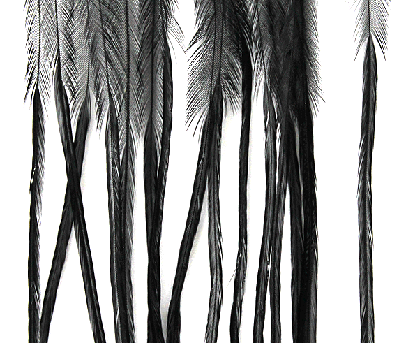 Whiting 100 Pack in black, essential for tying classic trout flies, offering superb feather quality.