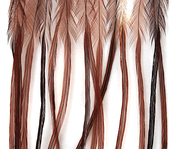 Brown Whiting 100 Pack, perfect for crafting realistic nymphs and dry flies for trout fishing