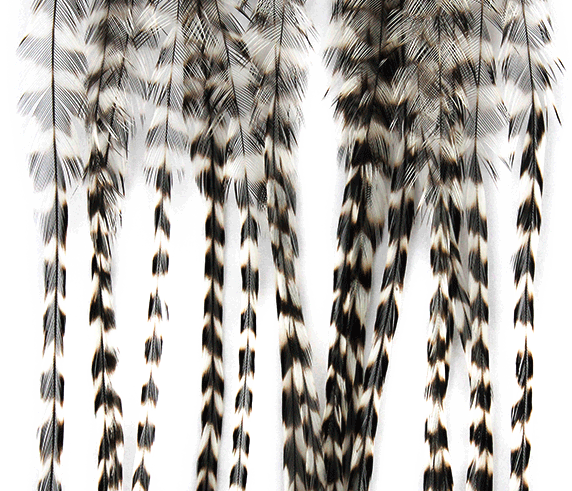 Natural grizzly Whiting 100 Pack, versatile for a variety of trout fly patterns with its unique marking