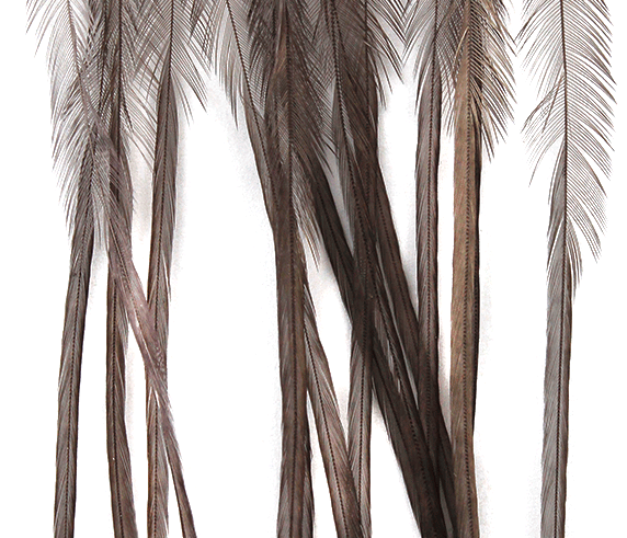 Medium dun Whiting 100 Pack, ideal for tying subtle, natural-looking dun patterns for trout