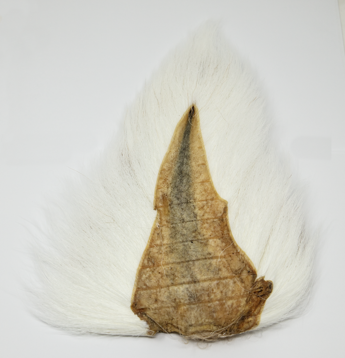 Marabou Brothers Bucktail El Presidente Grade in bleached white color for a variety of uses
