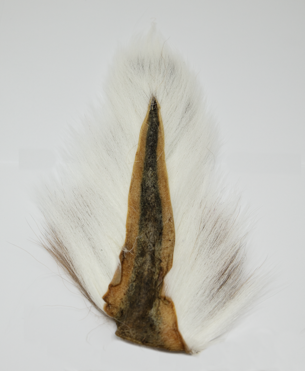 Marabou Brothers Bucktail El Presidente Grade in fl white color is a best quality musky fly tying bucktail