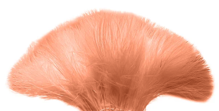 Marabou Brothers Marabou Blood Quill Loose Canteloupe color fly tying feather pack