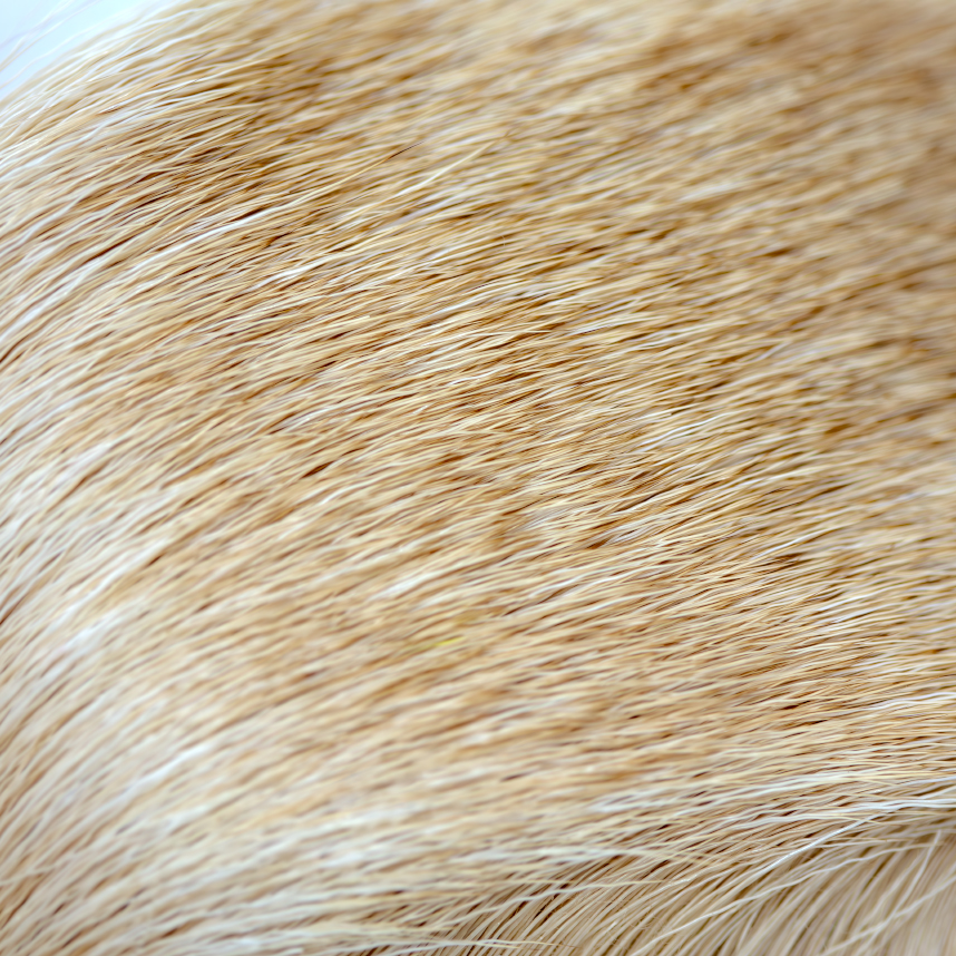 Tough Bull Elk Hair ideal for tying Elk Hair Caddis, Stimulators, and Hoppers.