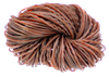 Brown version of Nature's Spirit's Disco Living Legs