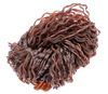 Brown version of Nature's Spirit's Disco Wavy Legs