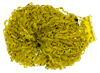 Mustard Yellow/Gold Black version of Nature's Spirit's Disco Wavy Legs