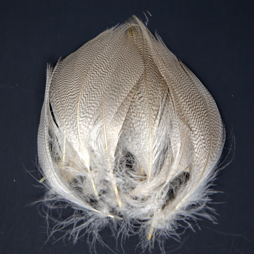 Nature Spirit's select Mallard Spey Sides for professional fly tying