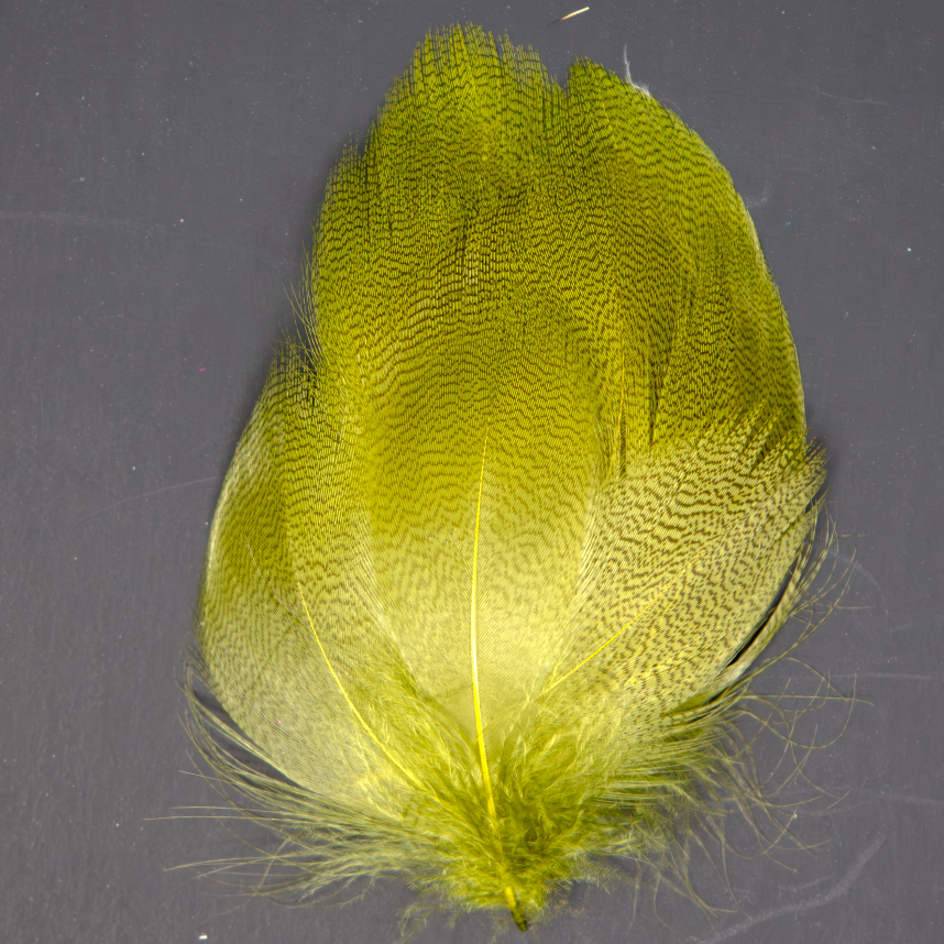 Specialty Mallard Spey Sides feathers for steelhead and salmon flies by Nature Spirit.