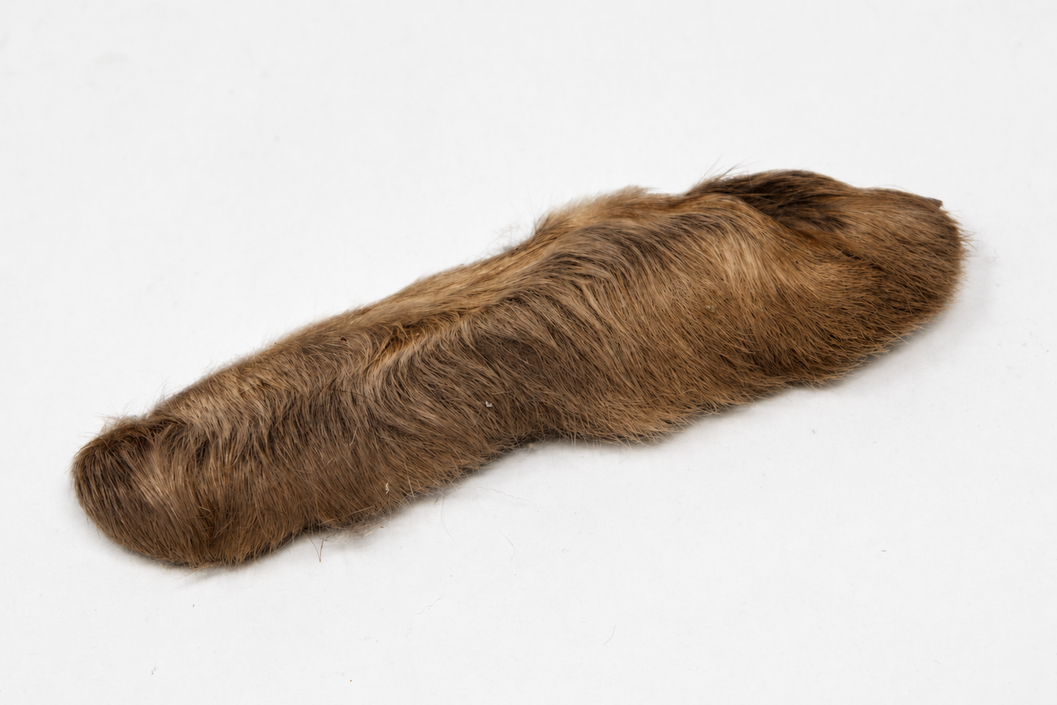 Nature's Spirit Snowshoe Rabbit Foot in the color brown