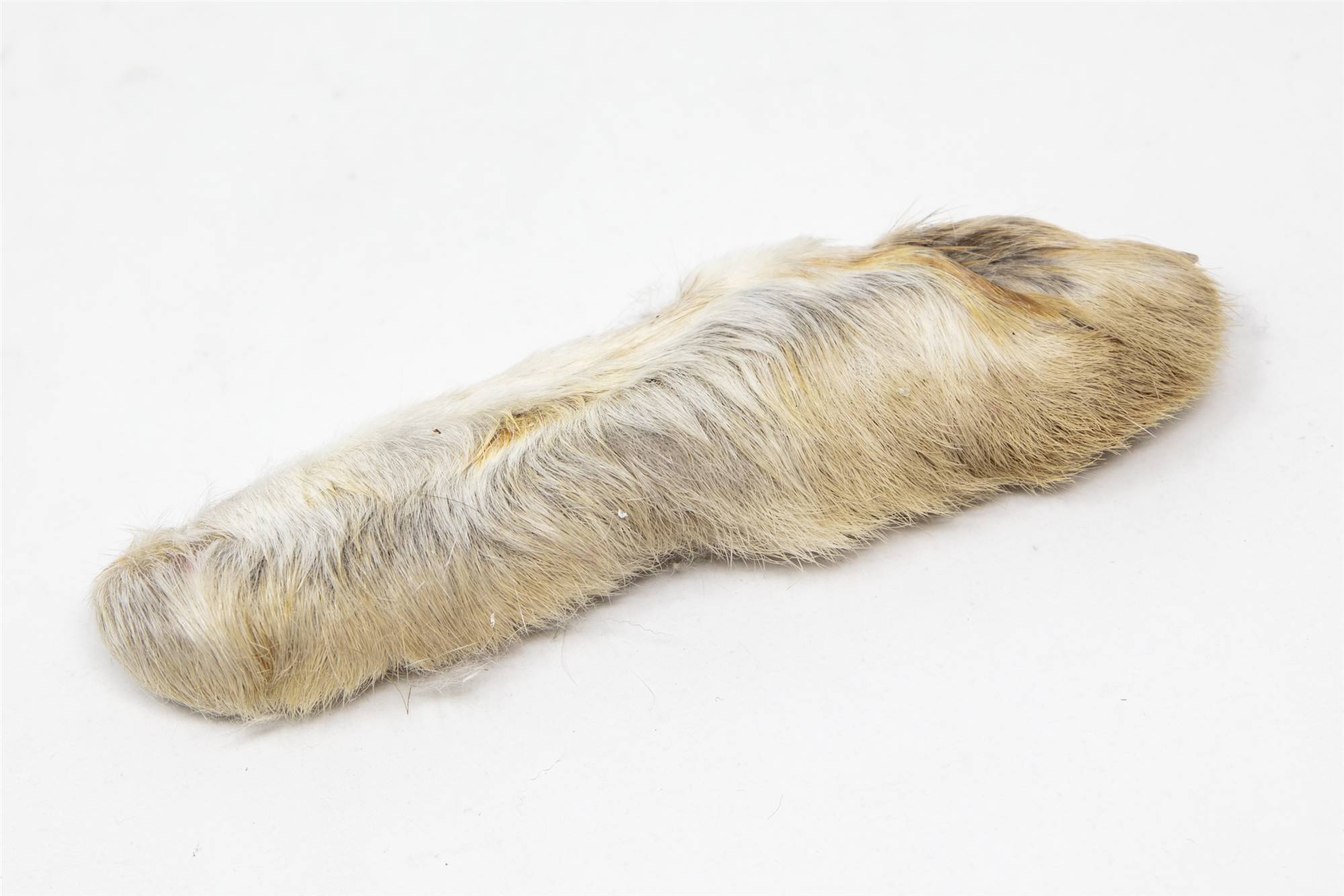 Nature's Spirit Snowshoe Rabbit Foot in the color natural cream