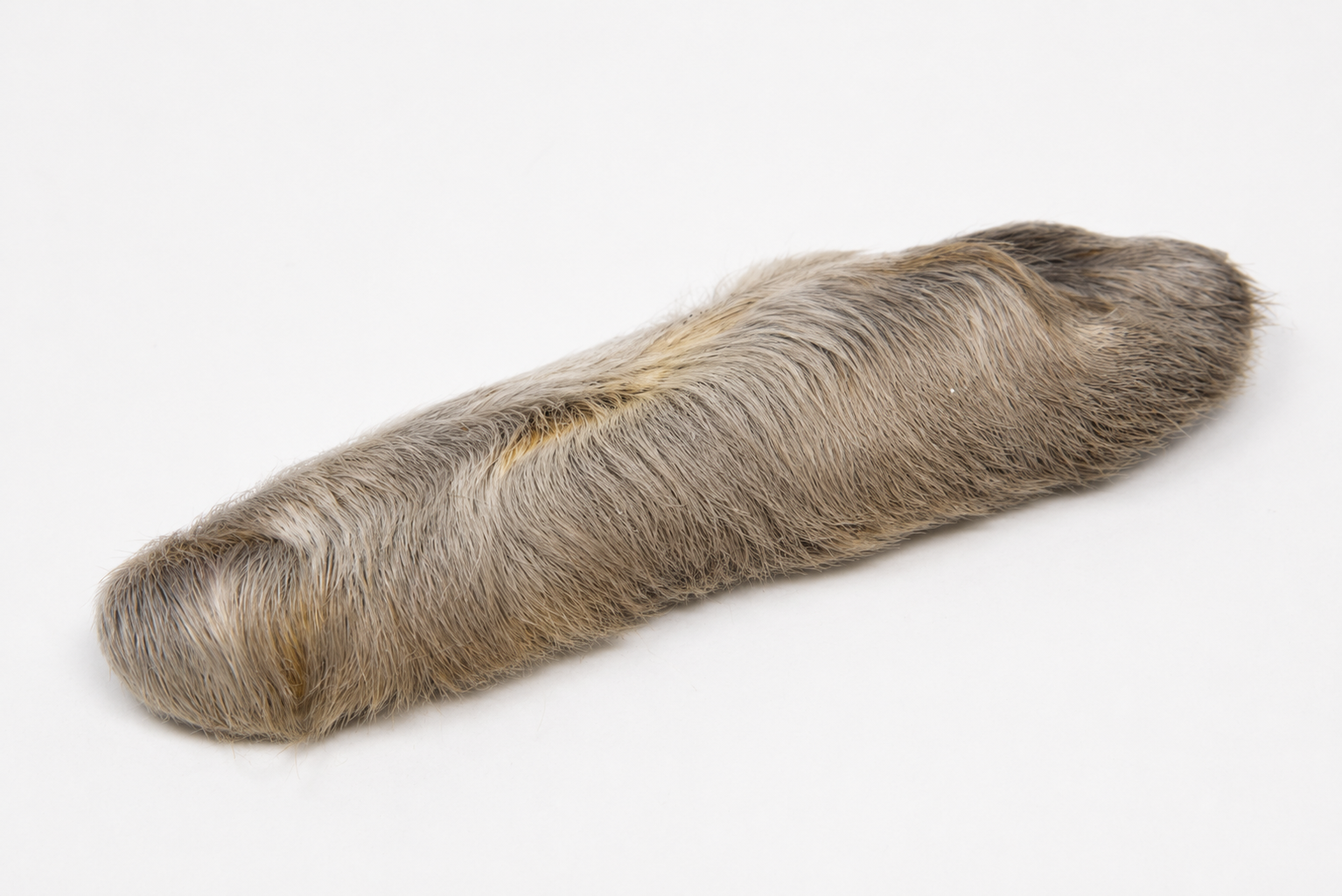 Nature's Spirit Snowshoe Rabbit Foot in the color dun