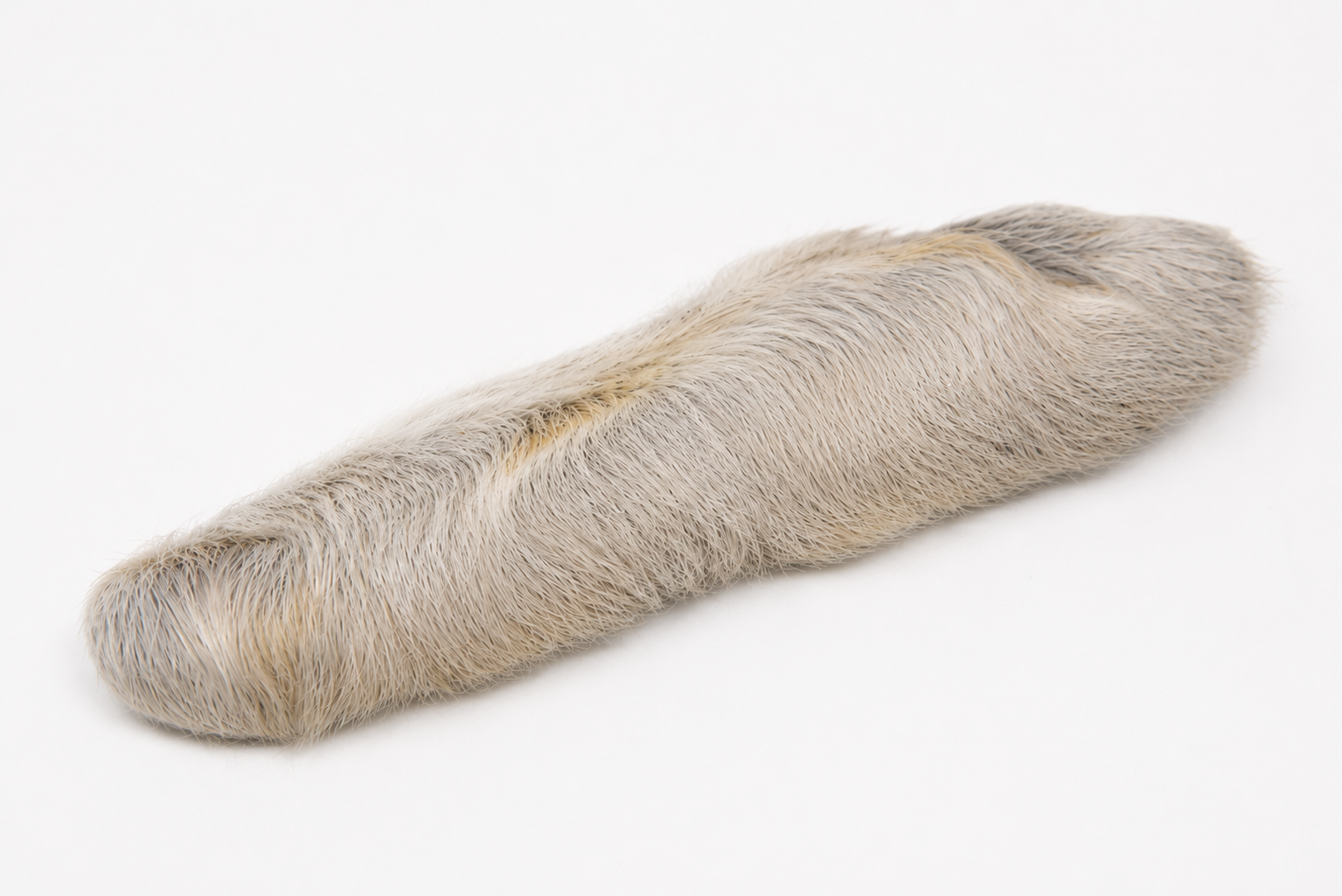 Nature's Spirit Snowshoe Rabbit Foot in the color light dun