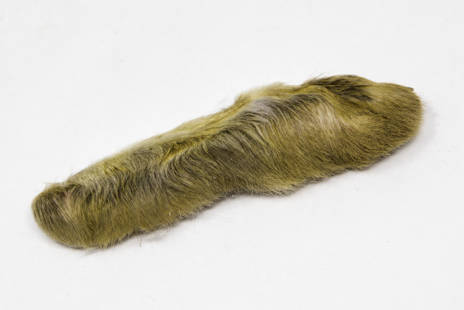Nature's Spirit Snowshoe Rabbit Foot in the color olive
