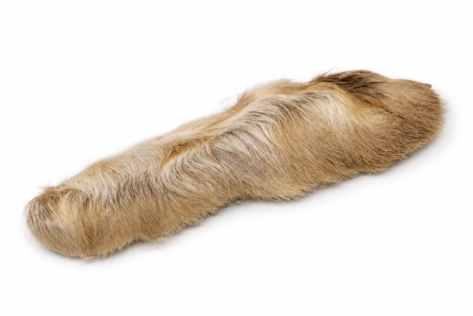 Nature's Spirit Snowshoe Rabbit Foot in the color tan