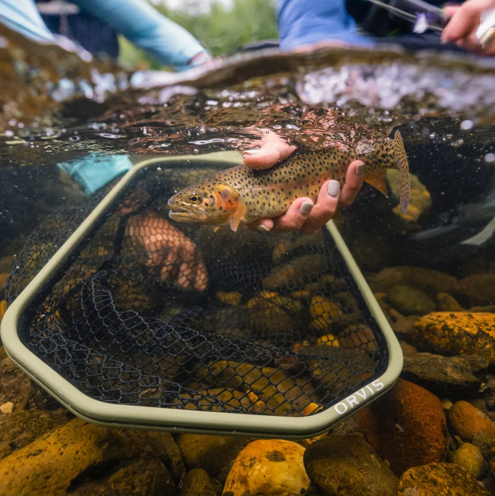 Orvis Wide-Mouth Guide Net Action 2