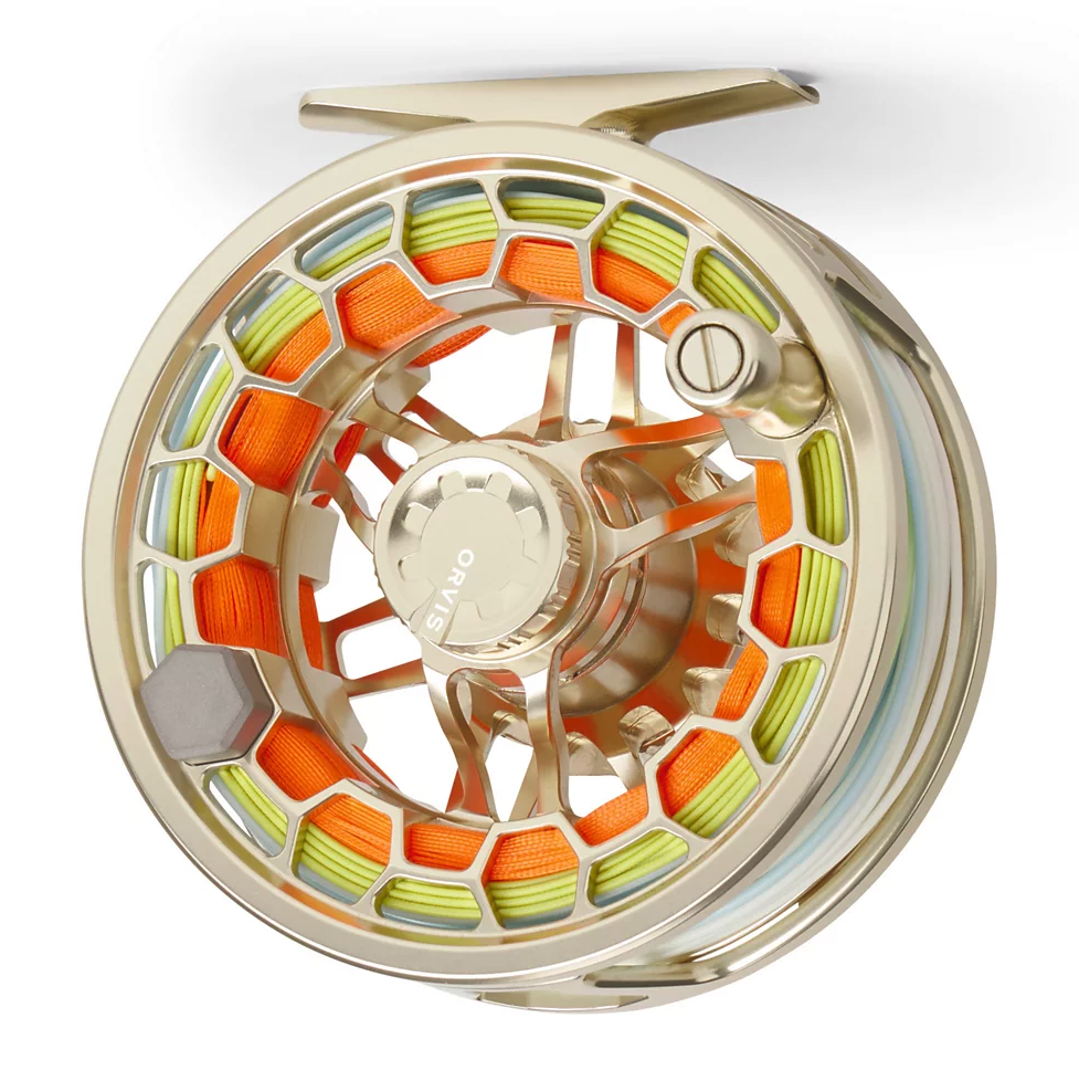 Back of Orvis Ratio Fly Reel Gold with fly line and backing