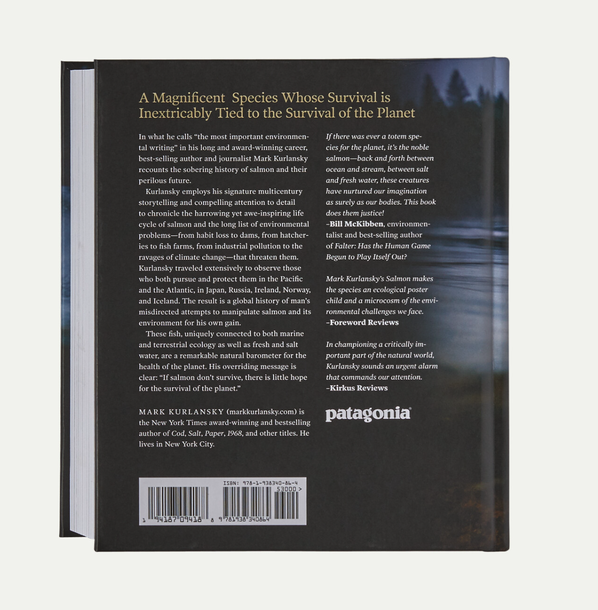 Back cover of Salmon Book by Mark Kurlansky