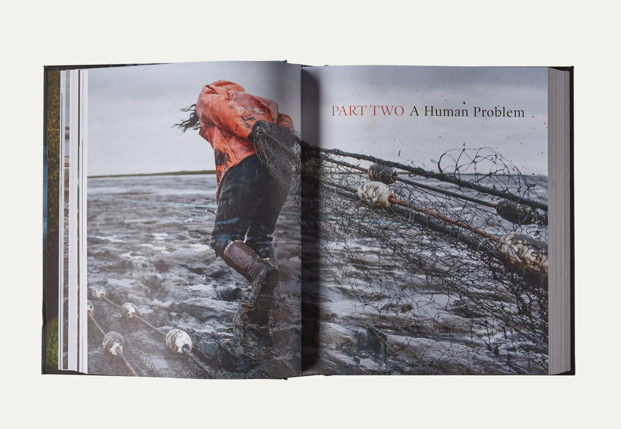 Interior art from Salmon Book by Mark Kurlansky