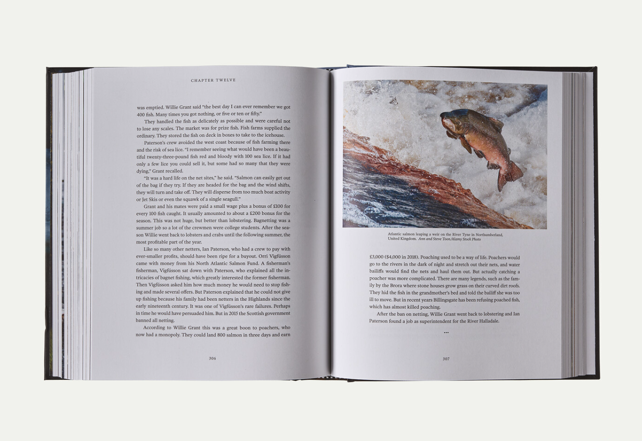 Alternate inside example from Salmon Book by Mark Kurlansky