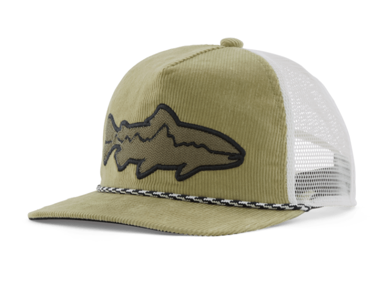 Patagonia Fly Catcher Hat in Fitz Roy Trout Weathered Stone color