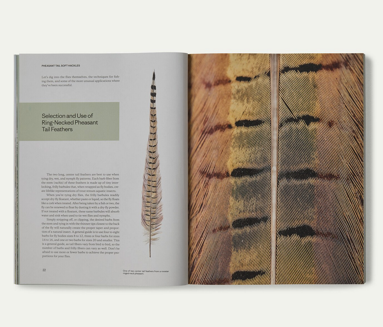 Patagonia Pheasant Tail Simplicity Book Inside Example
