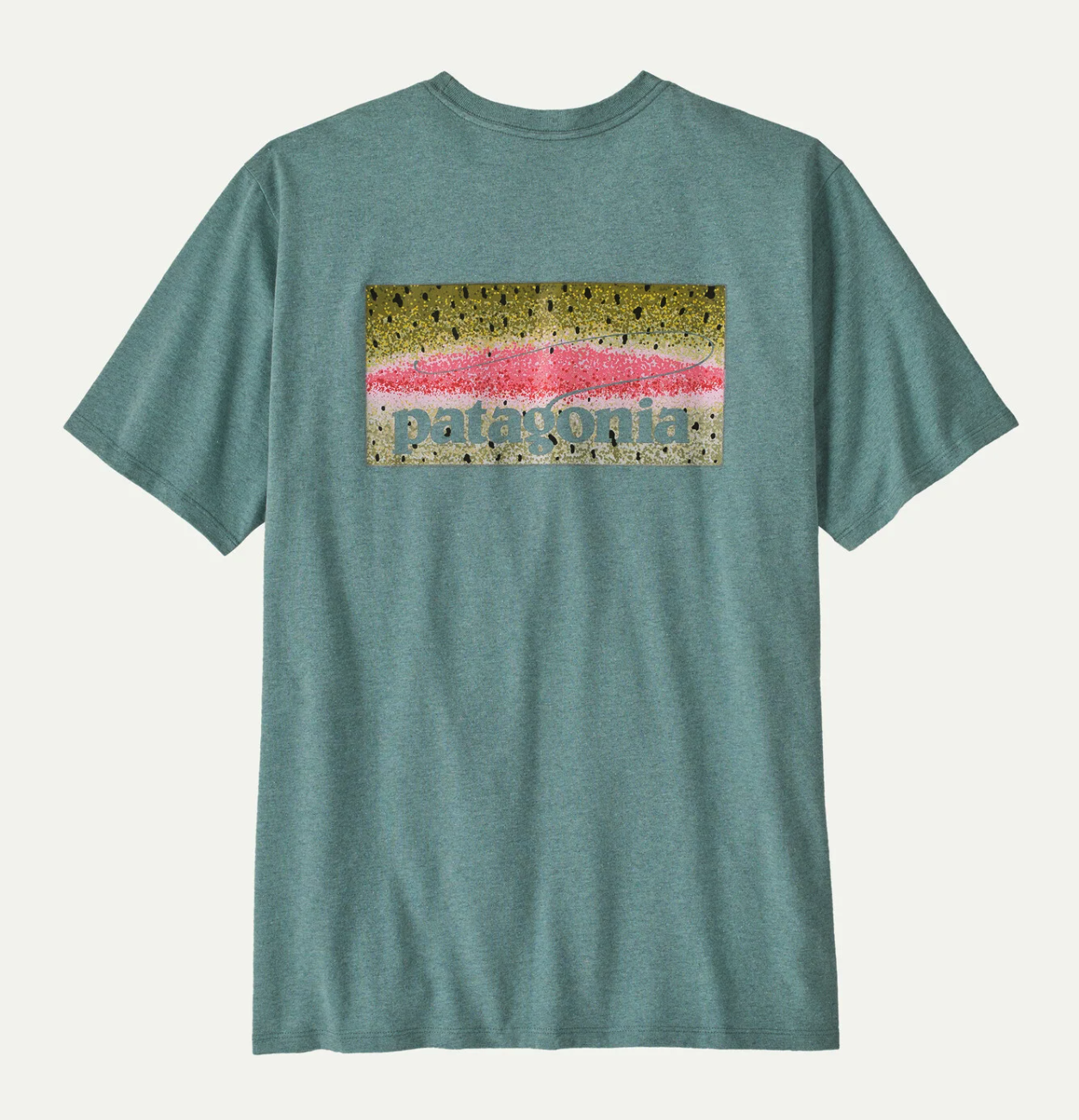 Patagonia Take a Stand Responsibili-Tee RBSG color