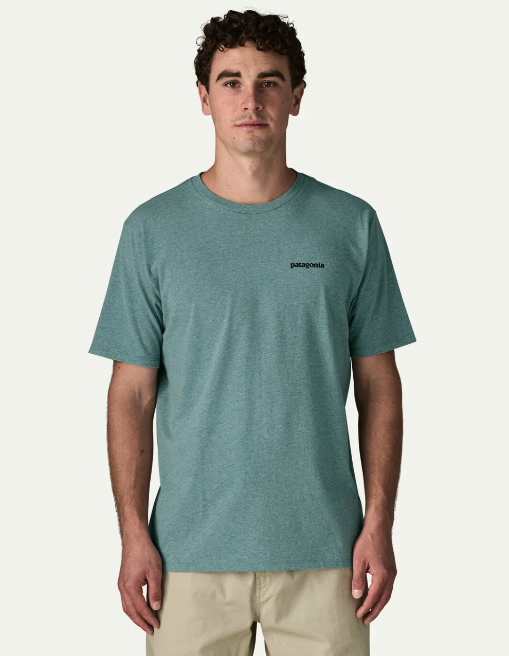 Front of model wearing Patagonia Take a Stand Responsibili-Tee RBSG color