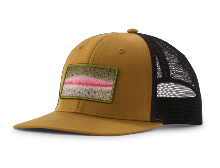 Patagonia Take A Stand Trucker Hat in Rainbow Run Bobcat Brown color