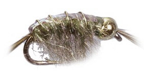Gold Bead Scud Nymph Trout Fly Gold Bead Scud Nymph Trout Fly