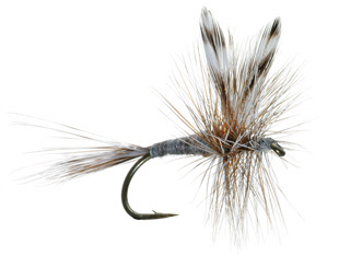 Adams Fly Fishing Fly for Trout