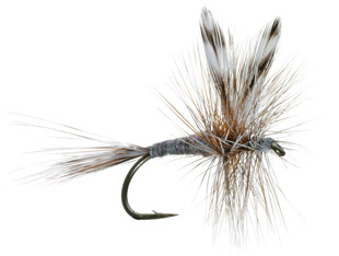 Tom Rosenbauer's 12 Essential Trout Flies Orvis News, 47% OFF