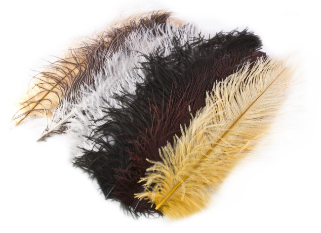 Hareline Ostrich Herl Feathers For Fly Tying – X-Select Quality, Assorted Crafts