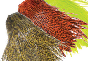 Metz Magnum Saddle Hackle #2