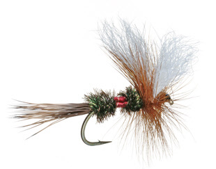 Royal Wulff Dry Fly for Trout