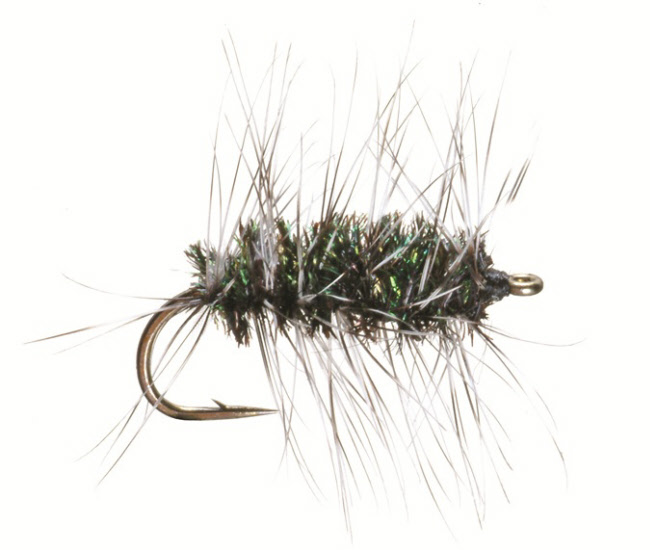 Griffith Griffiths Gnat Dry Trout Fly